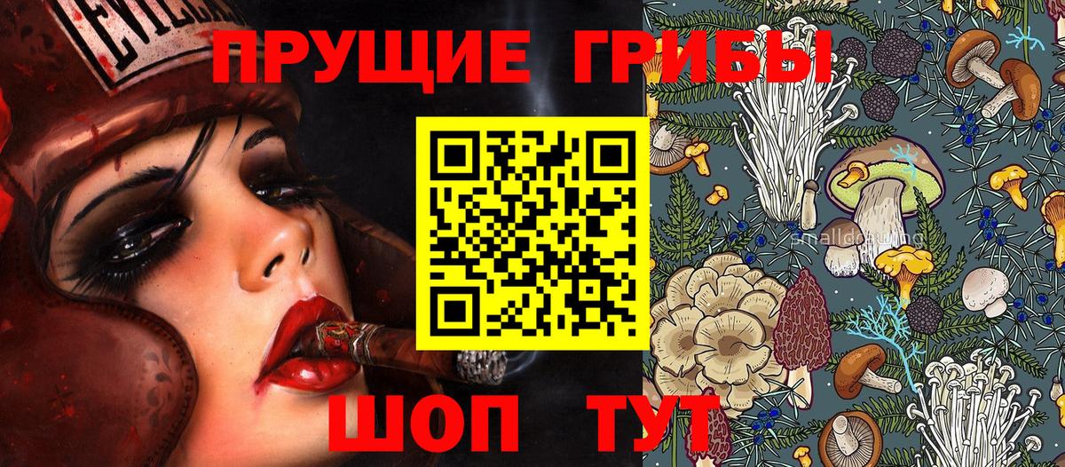 Псилоцибиновые грибы Cubensis  Вход с VPN  Сердобск  Псилоцибиновые грибы Magic Shrooms 